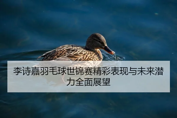 李诗嘉羽毛球世锦赛精彩表现与未来潜力全面展望